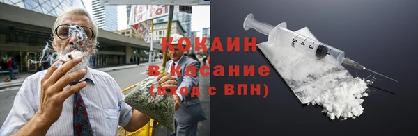 гидра Аркадак