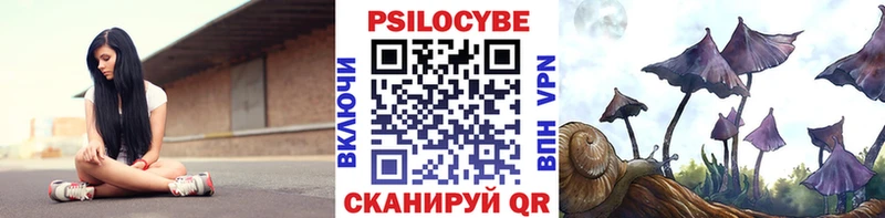 Псилоцибиновые грибы прущие грибы мега зеркало Изобильный